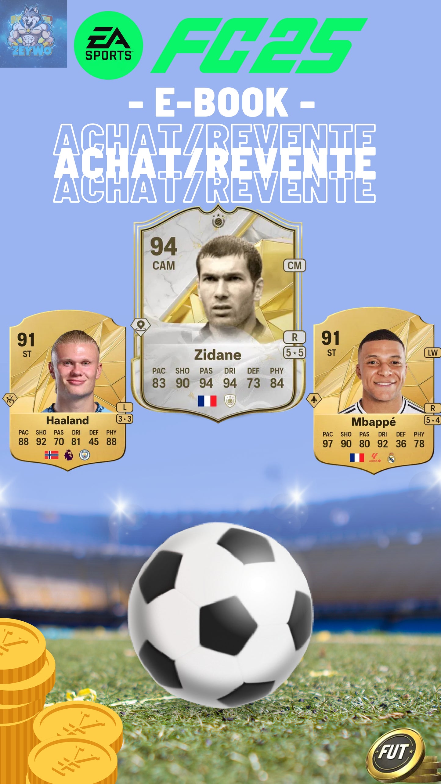E-Book Achat revente FC 25